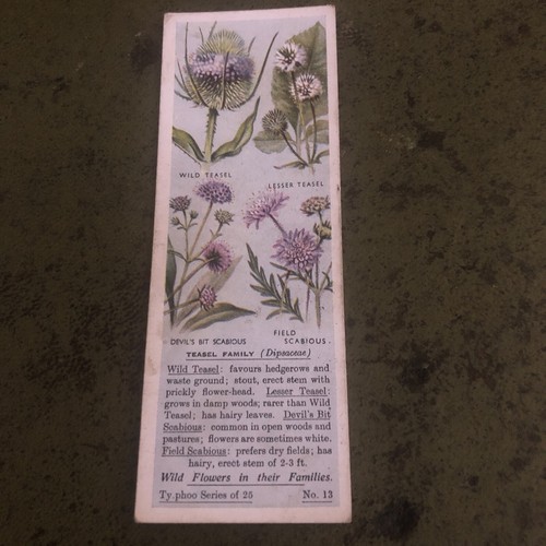 Typhoo tea card wild flowers - typhoo,