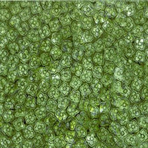 Hoffman batik n2810 355 - n2810-355,