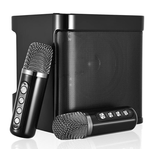 Portable karaoke speaker - portable,