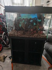 Fish R Fun 160l 30 X 18 X 18