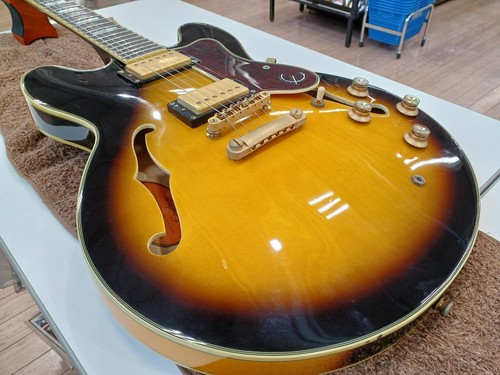 Epiphone sheraton pro - pro, vs