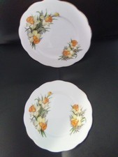 Vintage Pair Roslyn China