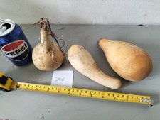 SET OF 3 DRIED AND WASHED