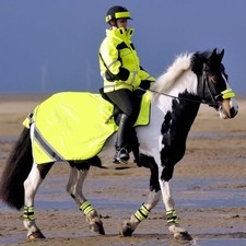 Equisafety Exercise Sheet