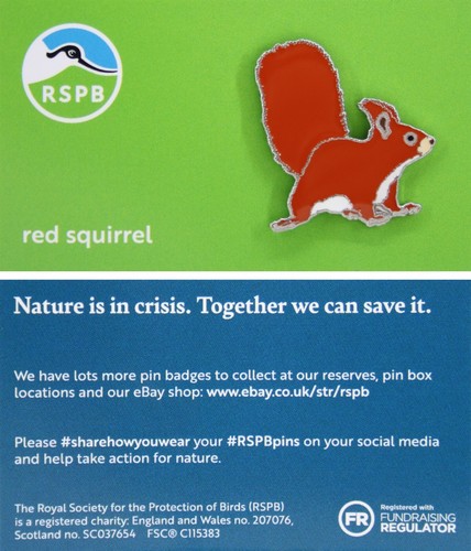 Rspb pin badge - badge, niic