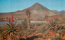 s19240 Van Ryneveld Dam Graaff-Reinet  South Africa  postcard