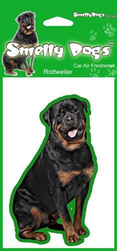 Rottweiler rotty dog - rottweiler, lovers