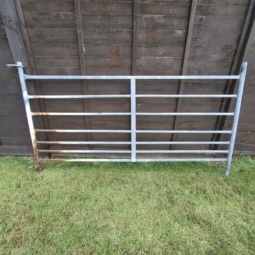 Galvanised sheep lambing - galvanised, sheep/lambing