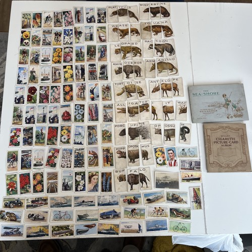 243 cigarette cards - 243,