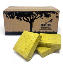 Mealworm & Insect Suet Blocks, Natural Wild Bird Food, High Energy Fat