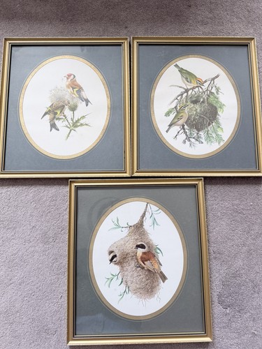 Set vintage bird - 3,