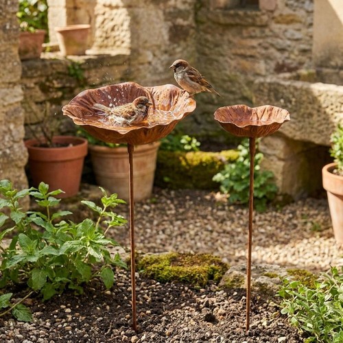 Metal bird bath flower - bath,, shape