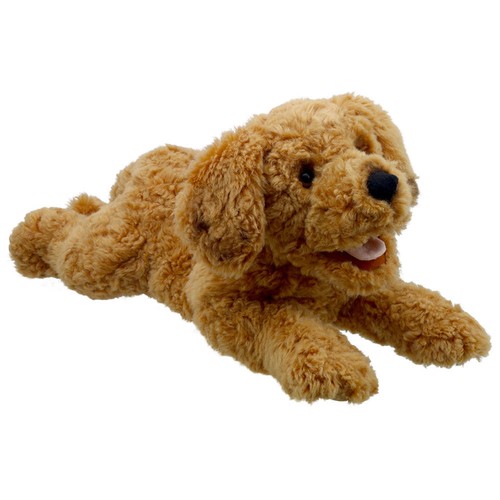 Cockapoo puppet playful - puppet,