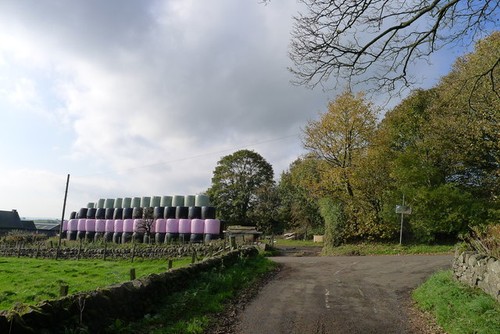 Photo 6x4 silage bales - silage,