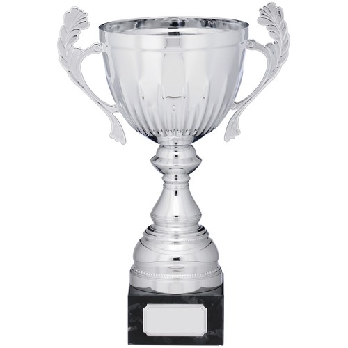 Silver presentation cup with - presentation,