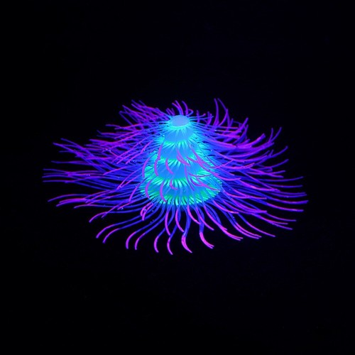 Silicone simulation jewelry - silicone,