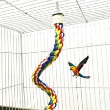 Bird cage access - bird, parrot