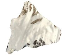 Light gold crocodile textured