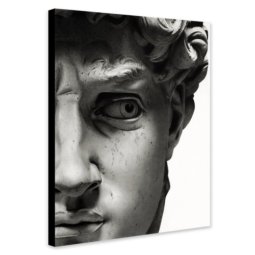David michelangelo wall art - david,