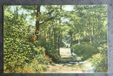 FRIARSIDE WOODS, ROWLANDS