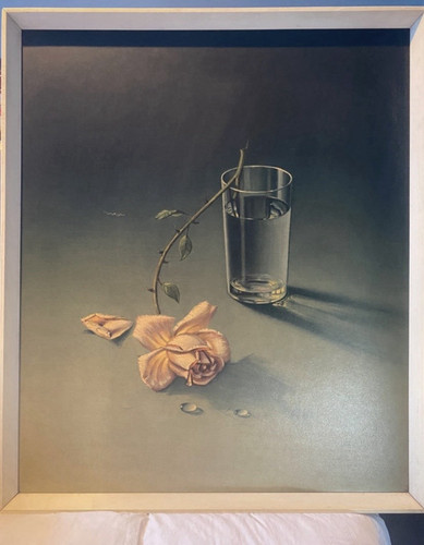 Tretchikoff weeping rose - tretchikoff,