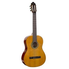 Valencia 6 String Classical