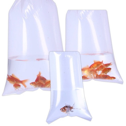 Aquarium fish transport bags - fish,