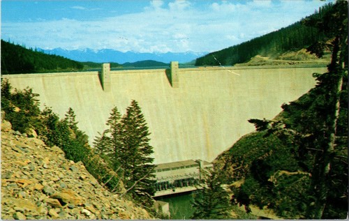 Hungry horse dam western - horse,