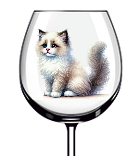 12x ragdoll cat - ragdoll, vinyl