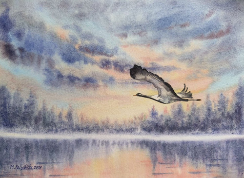 Bird stork flying - stork, forest
