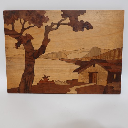 Vintage handmade marquetry - handmade,