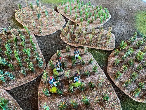 Crop fields 28mm painted - 4, x
