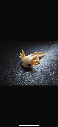 Axolotl articulated printed - axolotl, 3d