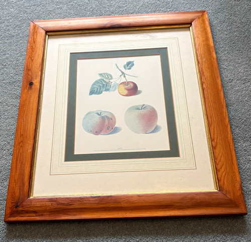 Laura ashley vintage picture - laura,