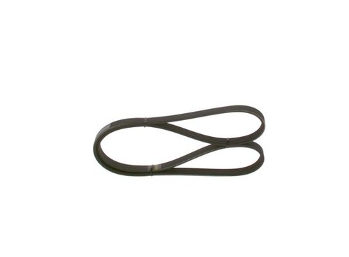 Ribbed belts for - belts,