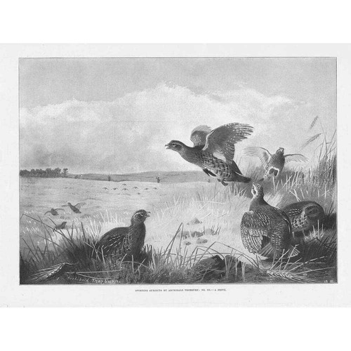 Archibald thorburn drive - a,