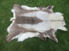 REINDEER FUR REINDEER FUR