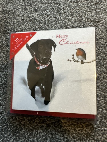 Labrador christmas cards snowy - cards,