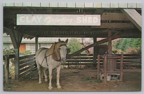 Animal cyclone jim - horse, @
