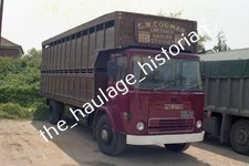 THH Truck Photos - Seddon