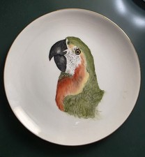 Hand Painted Macaw Parrot