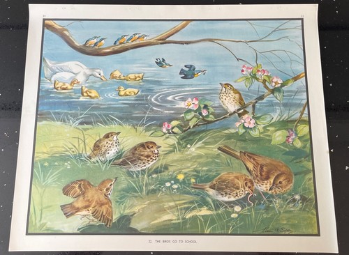 Vintage 1950s enid - 1950s, blyton