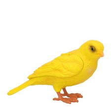 J.W.Anderson Womens Canary