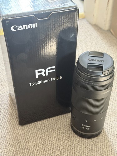 Canon 300mm 5 6 lens - canon, 75-300mm