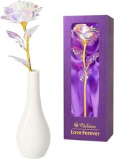 Rainbow Rose Flower Gift in