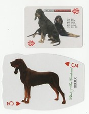 BLACK & TAN COONHOUND  2 NOVELTY DOG COLLECTABLE PLAYING CARDS