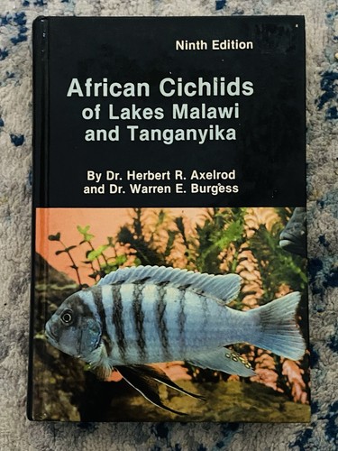 African cichlids lake - african,