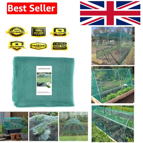 Soft green anti butterfly - green,