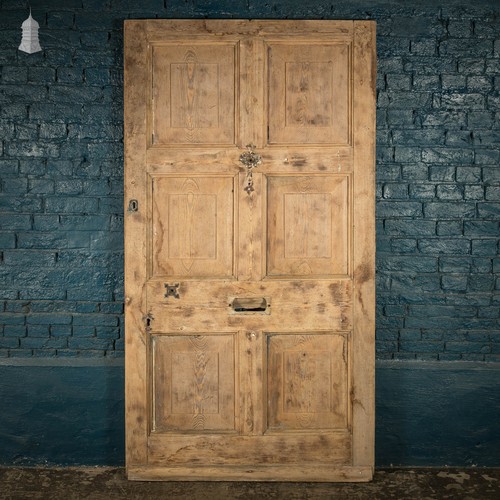 Pine panelled door - pine, pitch