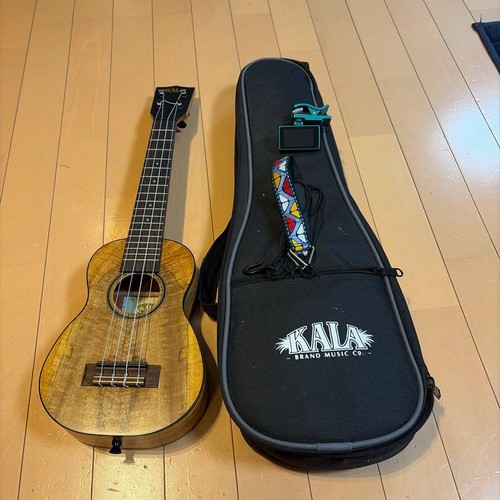 Kala ukulele with case tuner - kala,